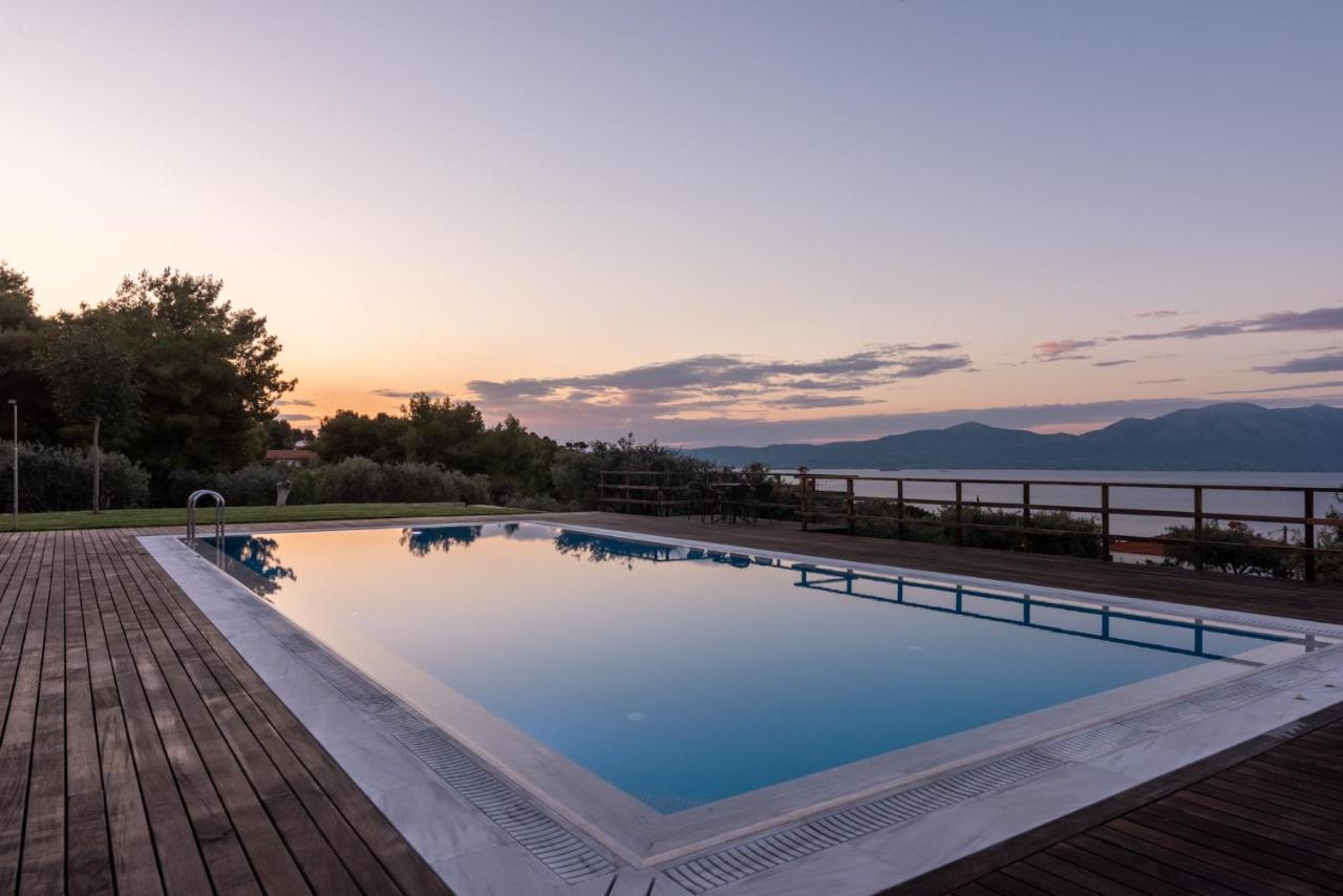 Villa Kalamos / Sea View And Pool Nearby Athens Zewnętrze zdjęcie